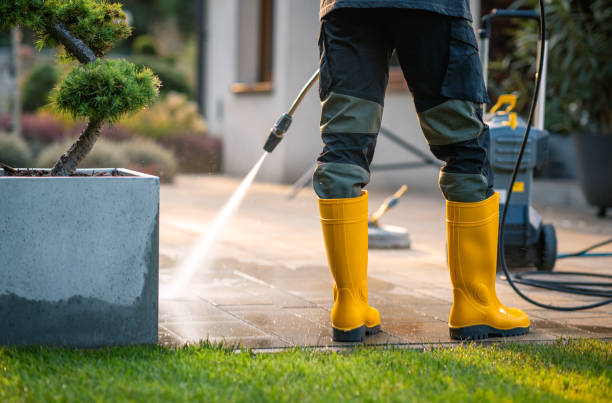 Best Seasonal Cleaning Services in Itasca, IL